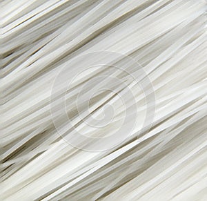 Close-up of the bristles of a washing brush