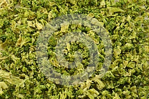 Freezer burned broccoli