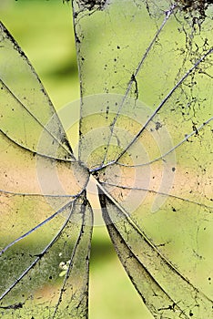 Close up of Broken old window glass