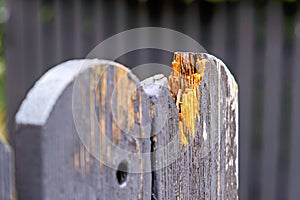 Close-up of a broken wooden fence