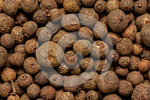 Close-up of brown allspice jamaica pepper grains. Texture of whole dried pimento berries. Concepts of organic spices