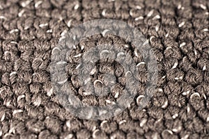 Close Up Brown Carpet Background