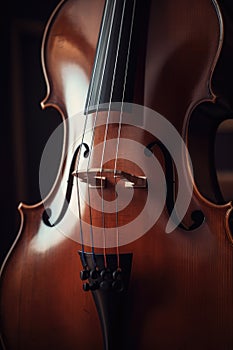 Close up of brown cello, created using generative ai technology