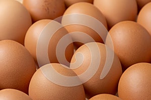Close up of brown chicken eggs