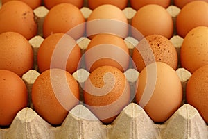 Close up brown chicken eggs in tray carton