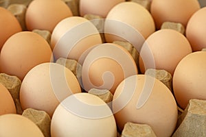 Close up brown chicken eggs in tray carton