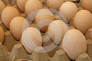 Close up brown chicken eggs in tray carton