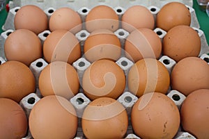 Close up of brown chiken eggs in carton box. Raw fresh chicken eggs background. Egg pattern wallpaper. Cardboard tray with bird eg