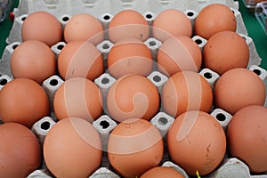 Close up of brown chiken eggs in carton box. Raw fresh chicken eggs background. Egg pattern wallpaper. Cardboard tray with bird eg