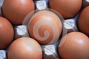 Close up of Brown eggs in carton