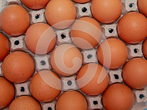 Close up on brown eggs in egg box