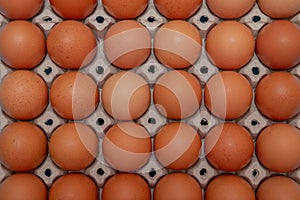 Close up on brown eggs in egg box