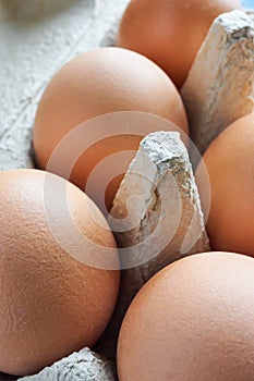 Close-up of brown eggs in an egg carton