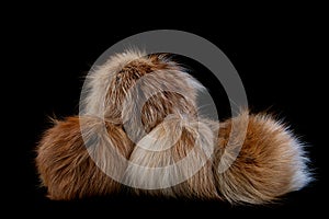 Close up of brown fox fur pompoms isolated on black background.
