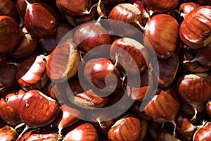 Close up of brown fresh chestnuts in a basket during autumn harvest, whole fresh and seasonal food for a healthy diet