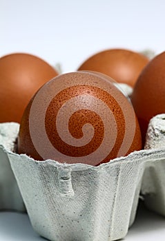 Close up of brown hens eggs