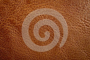 Close up brown leather texture and background with space.
