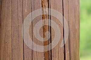 Close-up of a brown log with a deep crack, treated from pests and environmental impact