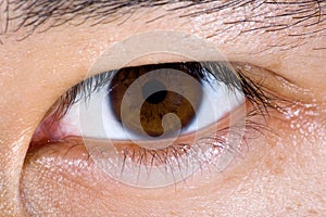 Close up of brown male eye