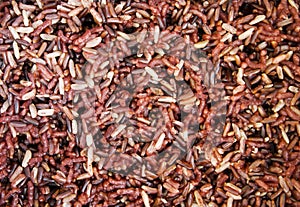 Close-up brown rice for texture background