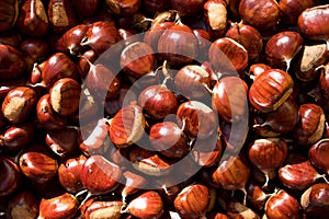 Close up of brown ripe chestnuts in a basket during autumn harvest, whole fresh and seasonal food for a healthy diet photo