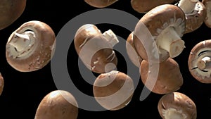 Close-up of brown shiitake mushrooms falling diagonally on the black background