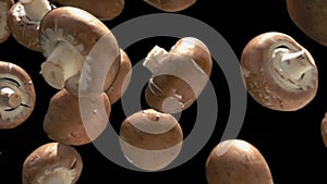 Close-up of the brown shiitake mushrooms falling and rotating diagonally