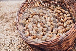 Close up. A wicker basket filled with empty snail shells