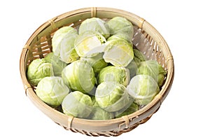 Close up of brussels cabbage sprouts green vegetables very famous in Brussels, isolated on white background with copy space for