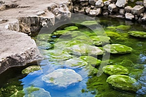 close-up of bubbling hot spring water