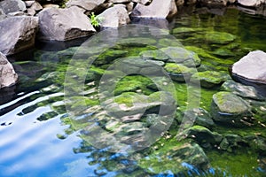 close-up of bubbling hot spring water