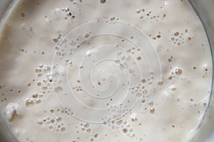 close-up of bubbly sourdough starter