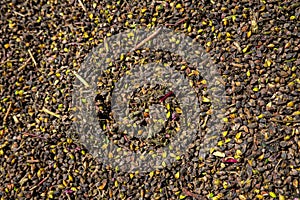 Close up of buckwheat seeds