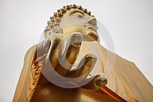 Close up the Buddha hand
