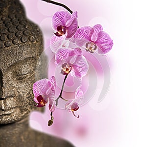 Close up of Buddha head and orchid