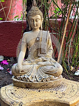 Close up of Buddha statue in garden single