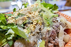 Close-up of Bun bo xao; a classic Vietnamese beef noodle salad