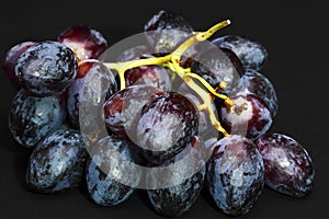 Close up of a bunch of black grapes