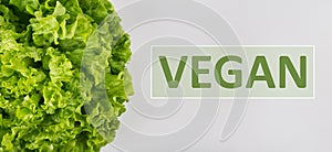 Close up bunch of fresh, green batavia lettuce salad and vegan text isolated on grey. Bio food, healthy diet symbol. Organic