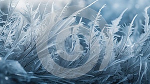 a close up of a bunch of frosty plants in a field with blue sky in the background and a blurry image of leaves in the foreground