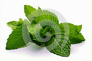 Close up of bunch of mint leaves on white background. Generative AI