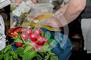 Close-up of a bunch of radishes. Radish on the background of a restaurant where the chef prepares vegetable dishes