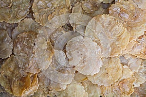 close up of a bunch of raw melinjo
