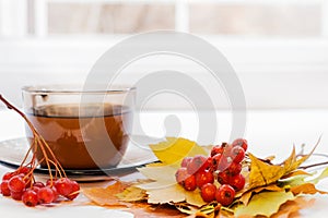 Close-up bunch of red ripe hawthorn berries and cup of tea on white windowsill near window.