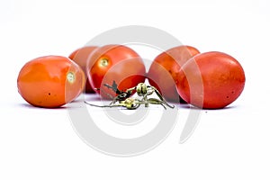 Close up of bunch of red tomatoes