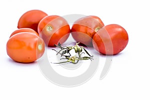 Close up of bunch of red tomatoes