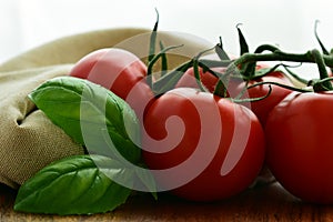 Close up of a bunch of red tomatoes, ready to be cut for salads.