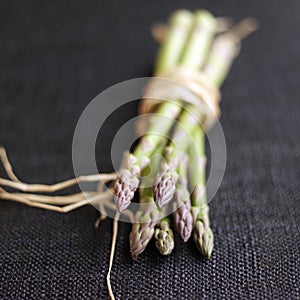Close up of a bundle of asparagus. Conceptual image