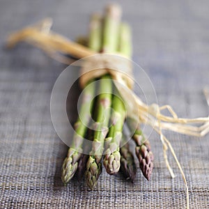 Close up of a bundle of asparagus. Conceptual image