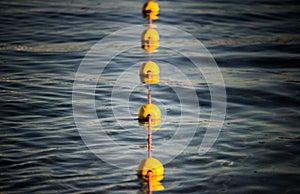 Close up of  a buoy dividing the Frame